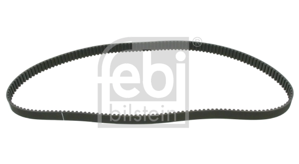 Timing Belt